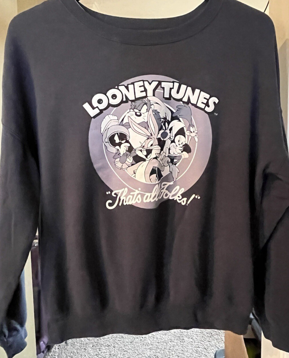 Looney Tunes Sweatshirt Womens Medium Gray Bugs Bunny Taz Sylvester Graphic
